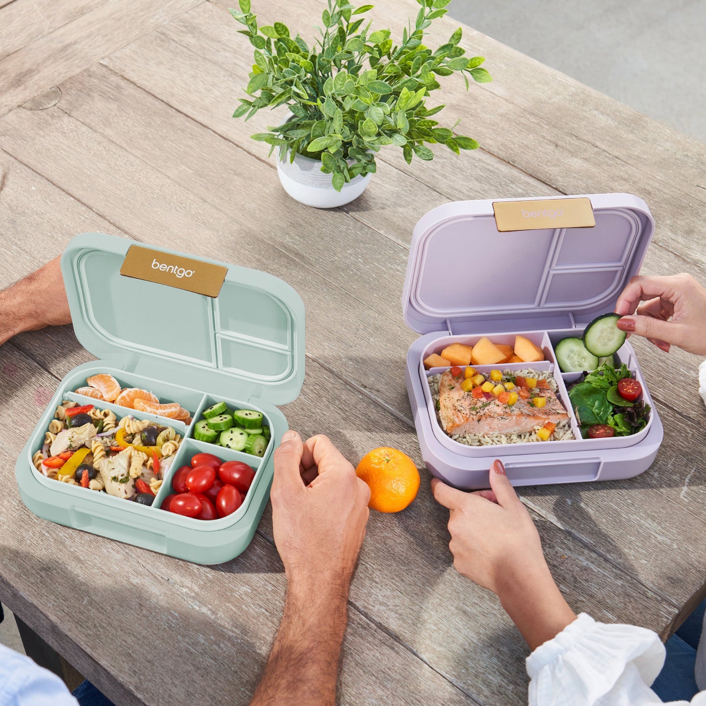 bentgo-modern-lunch-box-2-pack-m7 COSTCOBMCPRODUCTIMAGE_2.jpg
